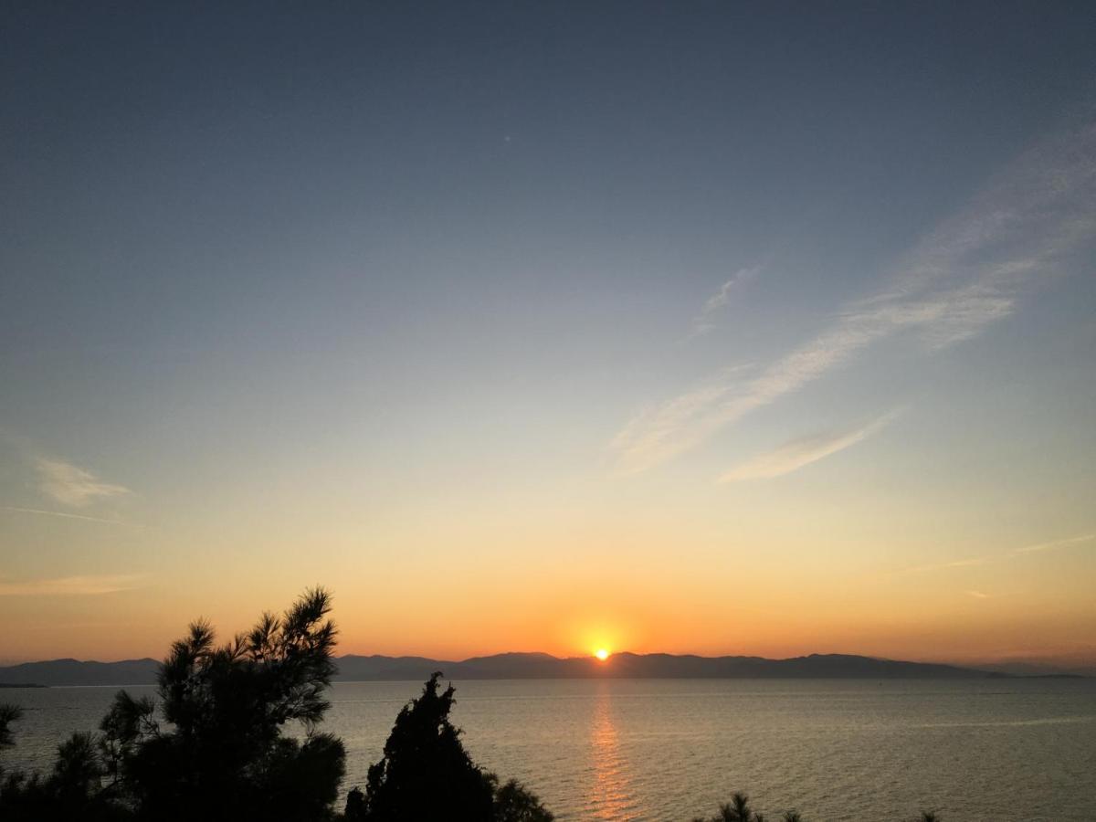 Pyrgos Ralli Estate Guesthouse Aegina 外观 照片