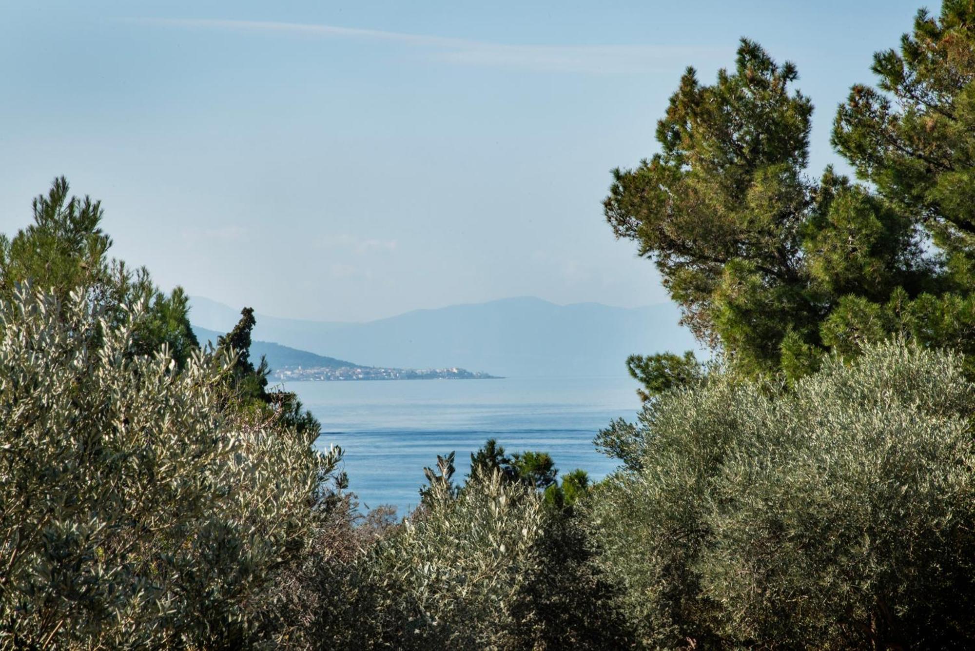 Pyrgos Ralli Estate Guesthouse Aegina 外观 照片